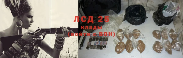 прущие крисы Богданович