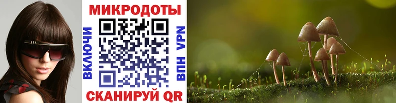 Псилоцибиновые грибы мицелий  Краснотурьинск 
